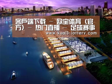 案例展示八