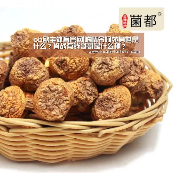 ob欧宝体育