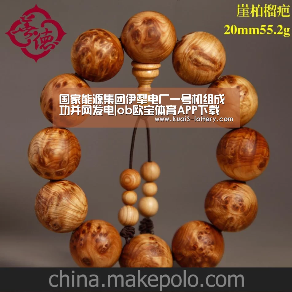 国家能源集团伊犁电厂一号机组成功并网发电|ob欧宝体育APP下载(图1) ob欧宝体育